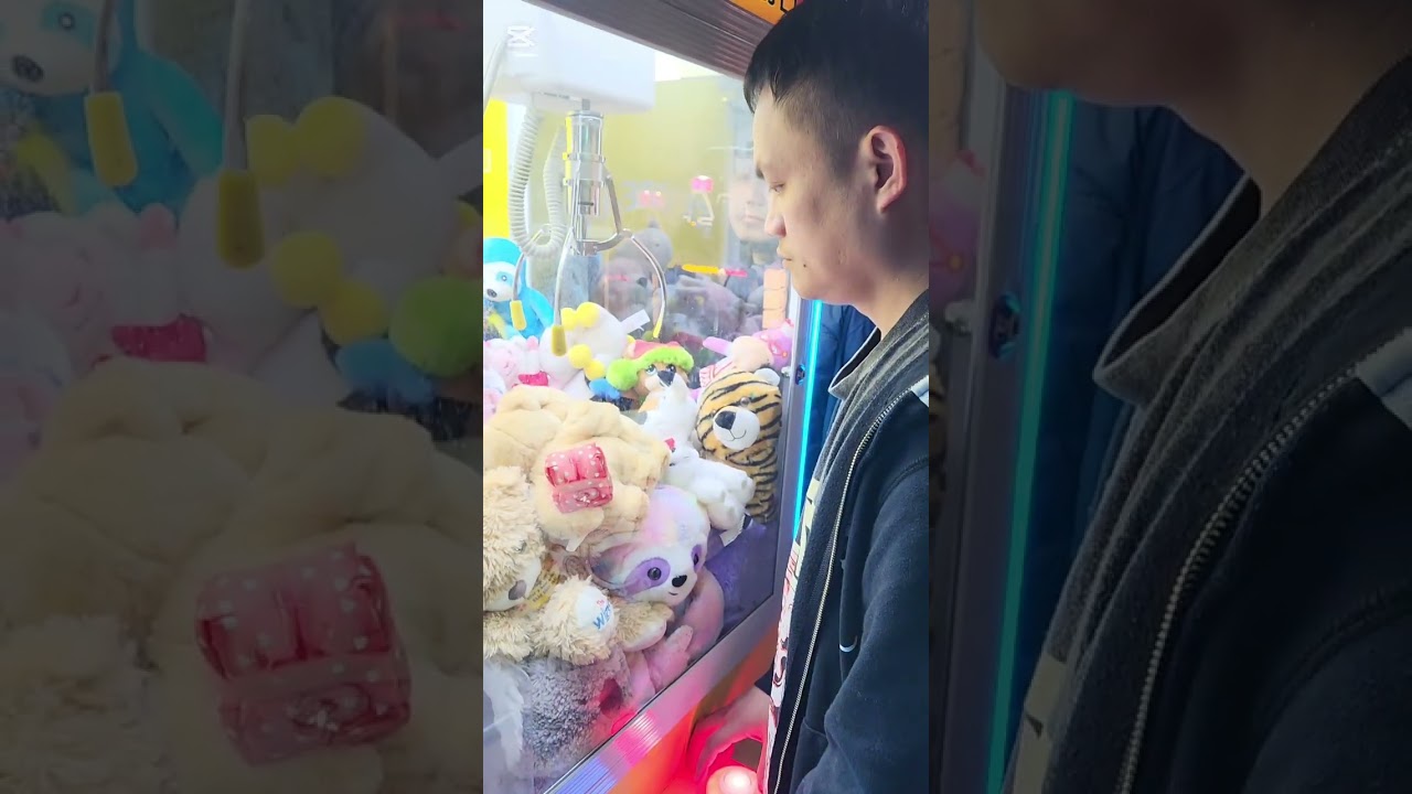 Bear Couple in the Claw Machine 