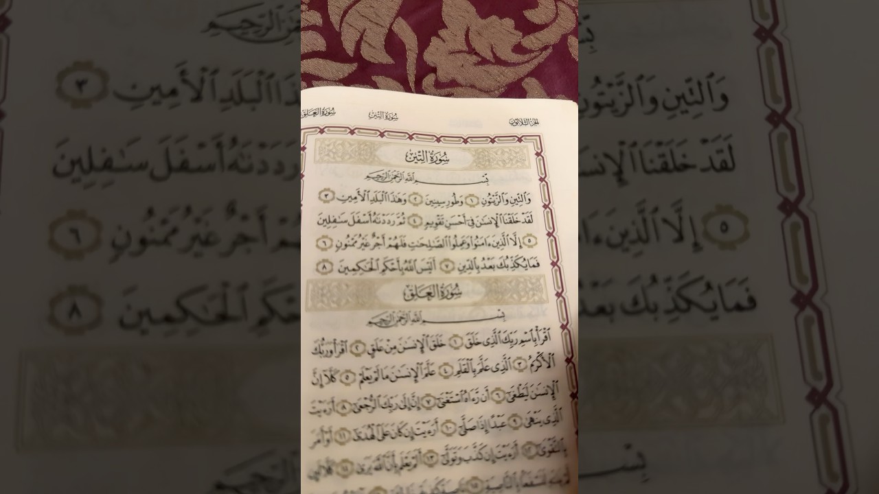 Surah At-Tin | സൂറത്തുത്തീൻ | ഖുർആൻ പാരായണം ✨#quran#shortvideo