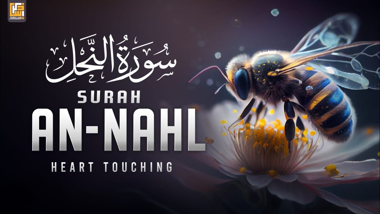 Surah An Nahl (سورة النحل) Relaxing Heart Touching Marvelous Quran | Zikrullah TV