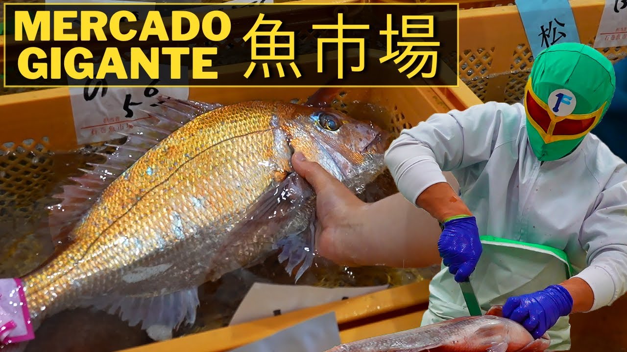 Lo Mejor del Mar en Japón | La Capital