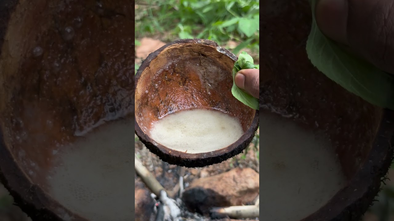 Making a Candle Using Papaw Tree Milk