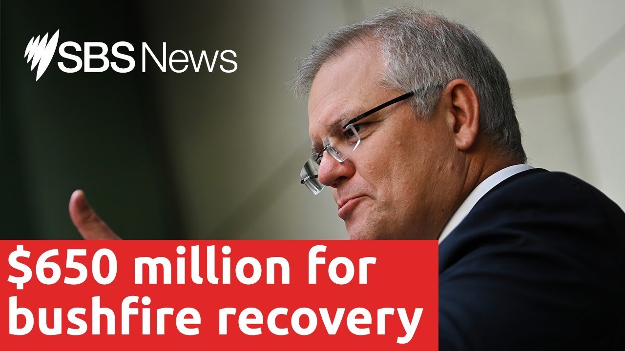 PM announces $650 million bushfire relief package | SBS News