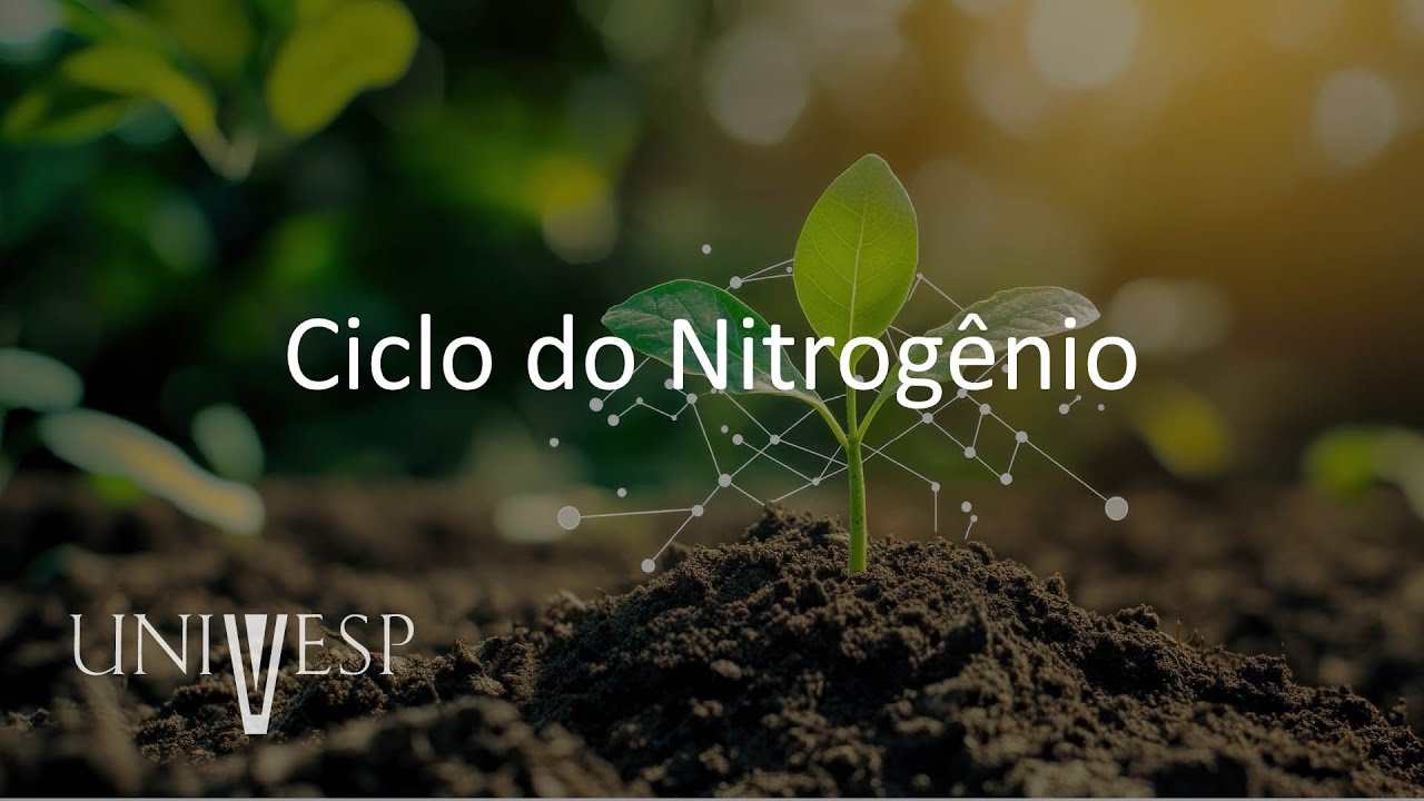 Ciências do Ambiente - Ciclo do Nitrogênio