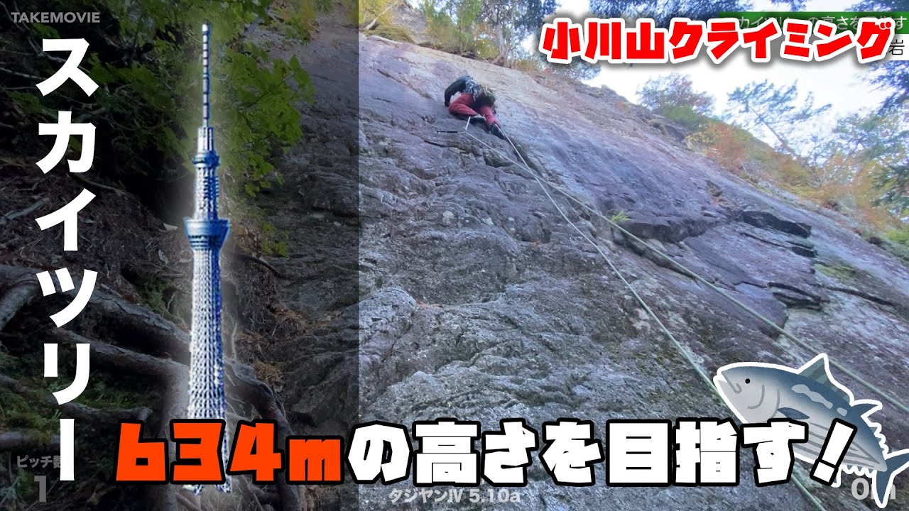 クライミングでスカイツリーの高さを目指します【カツサプ】