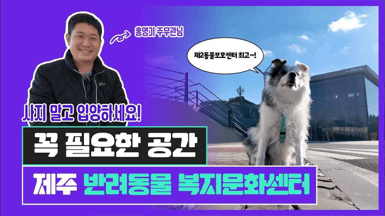 📢 MZ리포트 Ep.18 | 제주 반려동물 복지문화센터의 모든 것! 🔎