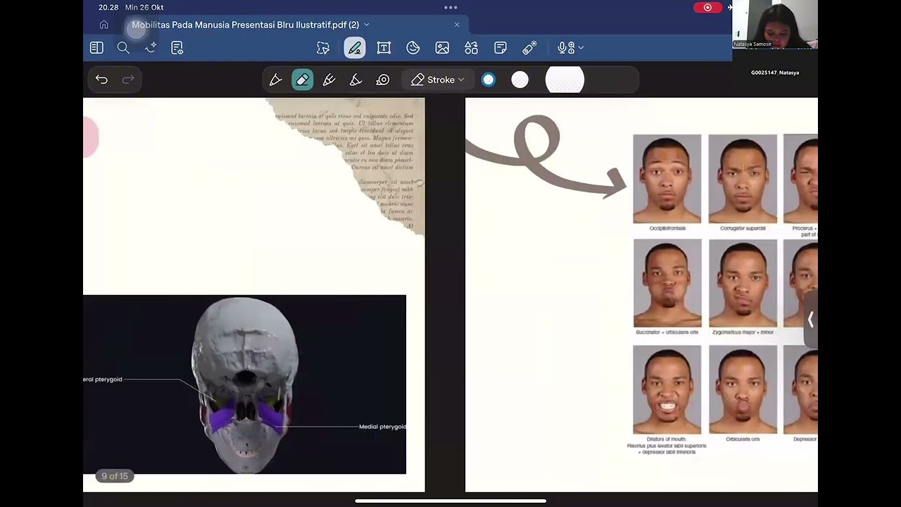￼Situs Facialis