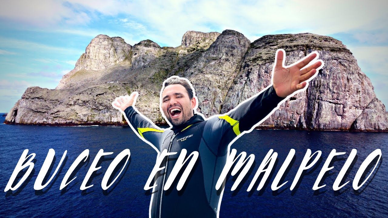 ¿Cómo Bucear Malpelo? || How to dive Malpelo?