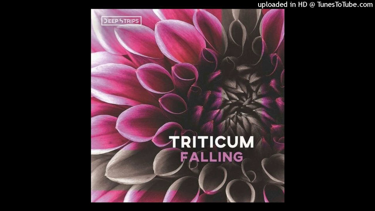 TRITICUM - Falling - Melodic House & Techno