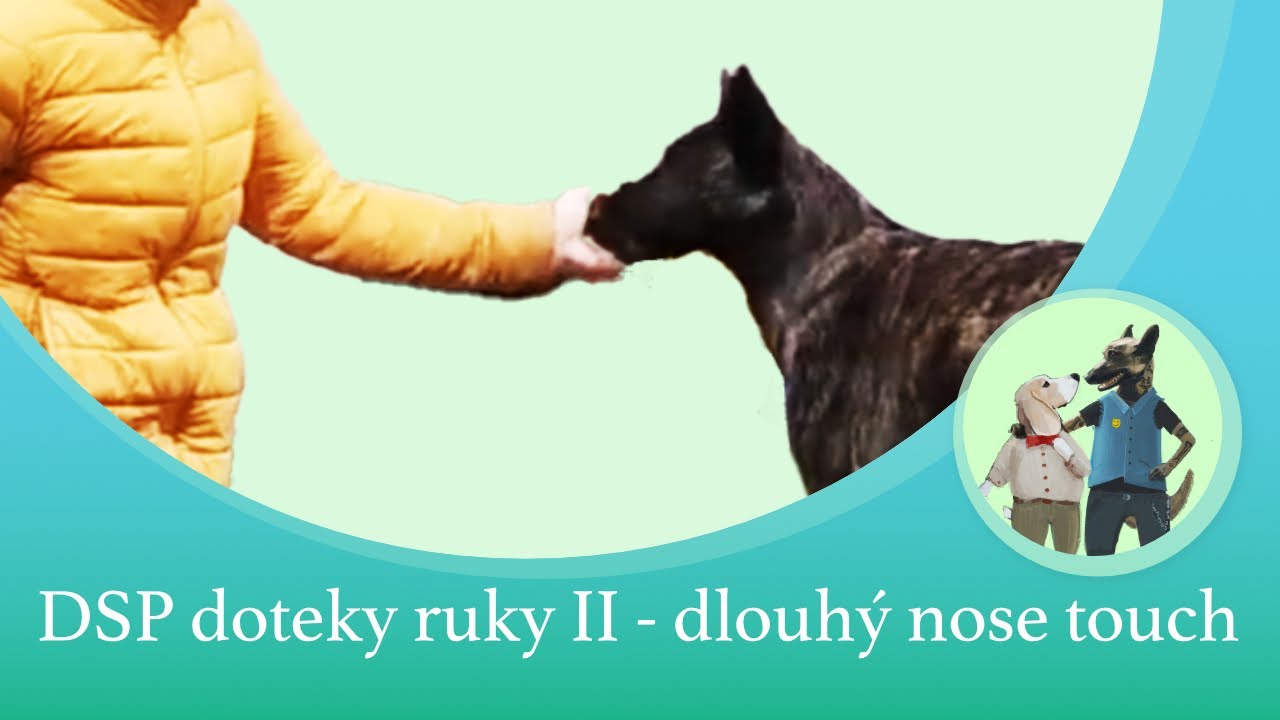 DSP  doteky ruky II - dlouhý nose touch