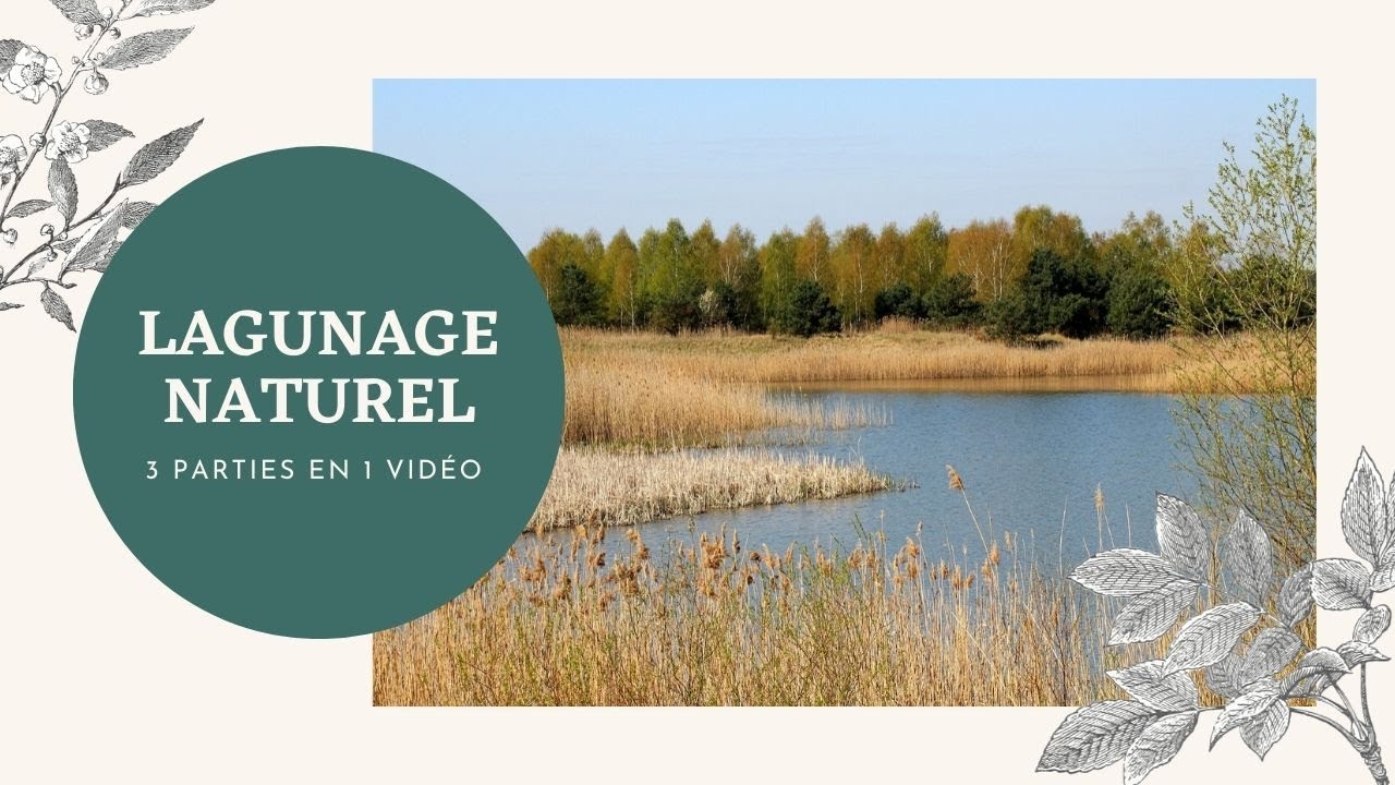 COURS COMPLET: TRAITEMENT DES EAUX PAR LAGUNAGE NATUREL