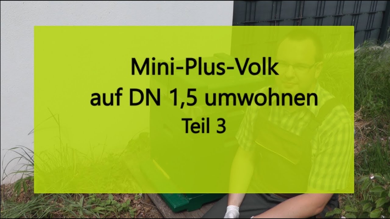 Mini-Plus-Volk auf DN 1,5 umwohnen - Teil 3