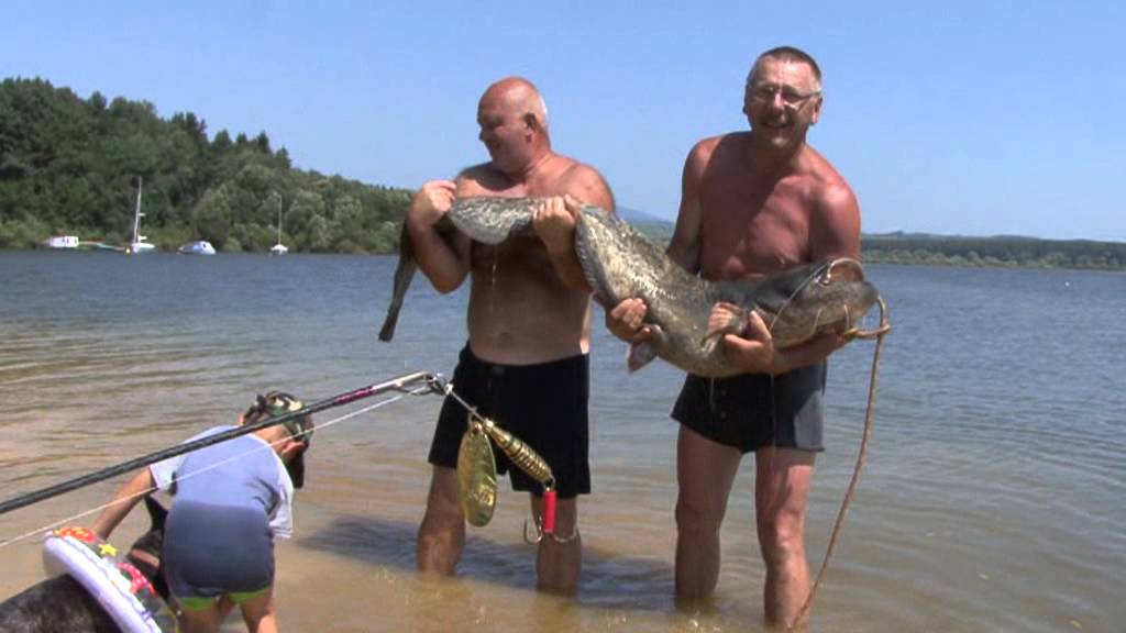 Sumec z Oravskej priehrady 177 cm