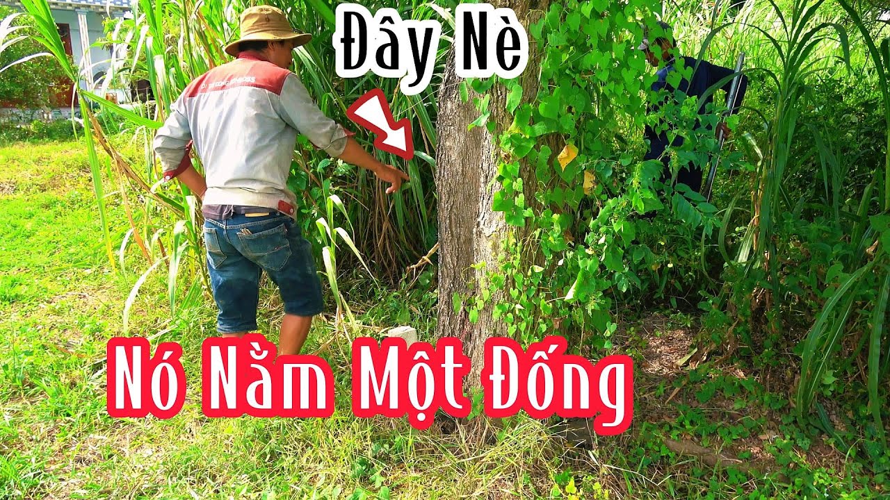 Cứu Gấp : Anh Ơi Cứu Em Không Dám Ra Vườn Rồi | Mười Thương SB