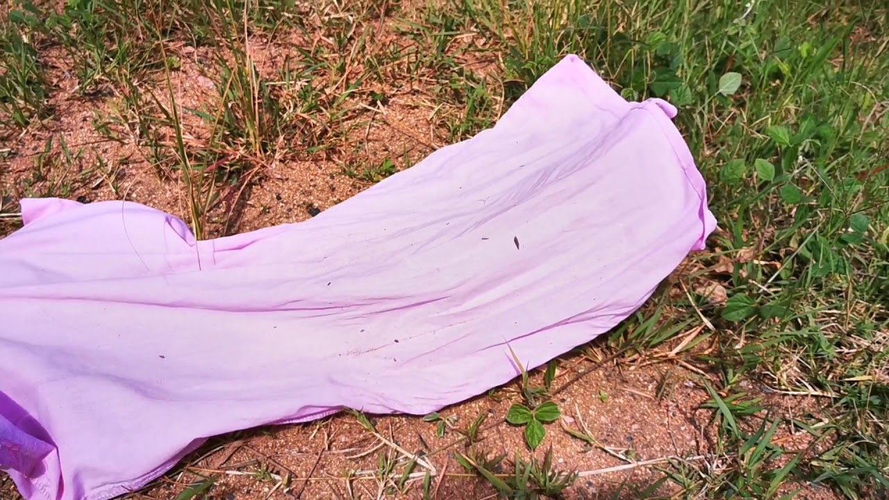When releasing a Black Mamba goes bad...