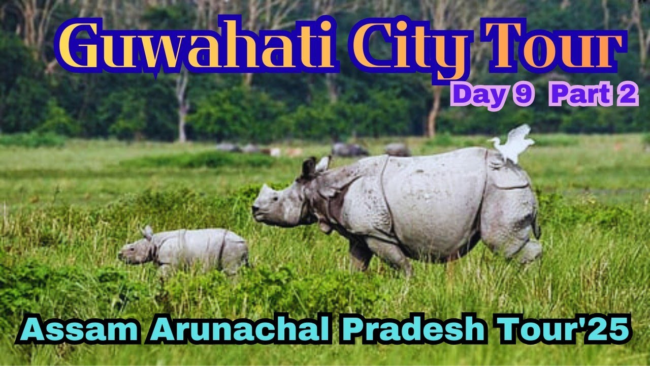 Day 9 P-2 | Balaji Mandir & Pobitora National Park  I Assam-Arunachal Pradesh Tour'25 Series 