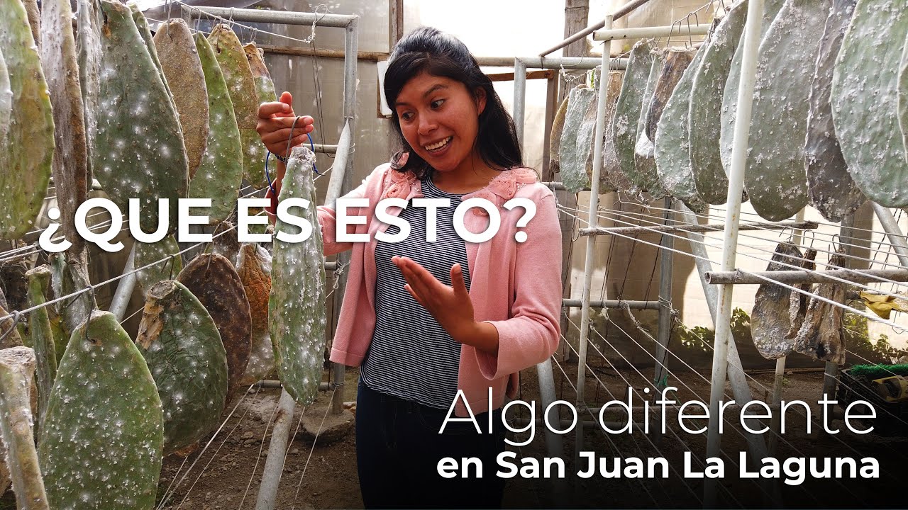 Que hacer si viajas a San Juan La Laguna | parte 3