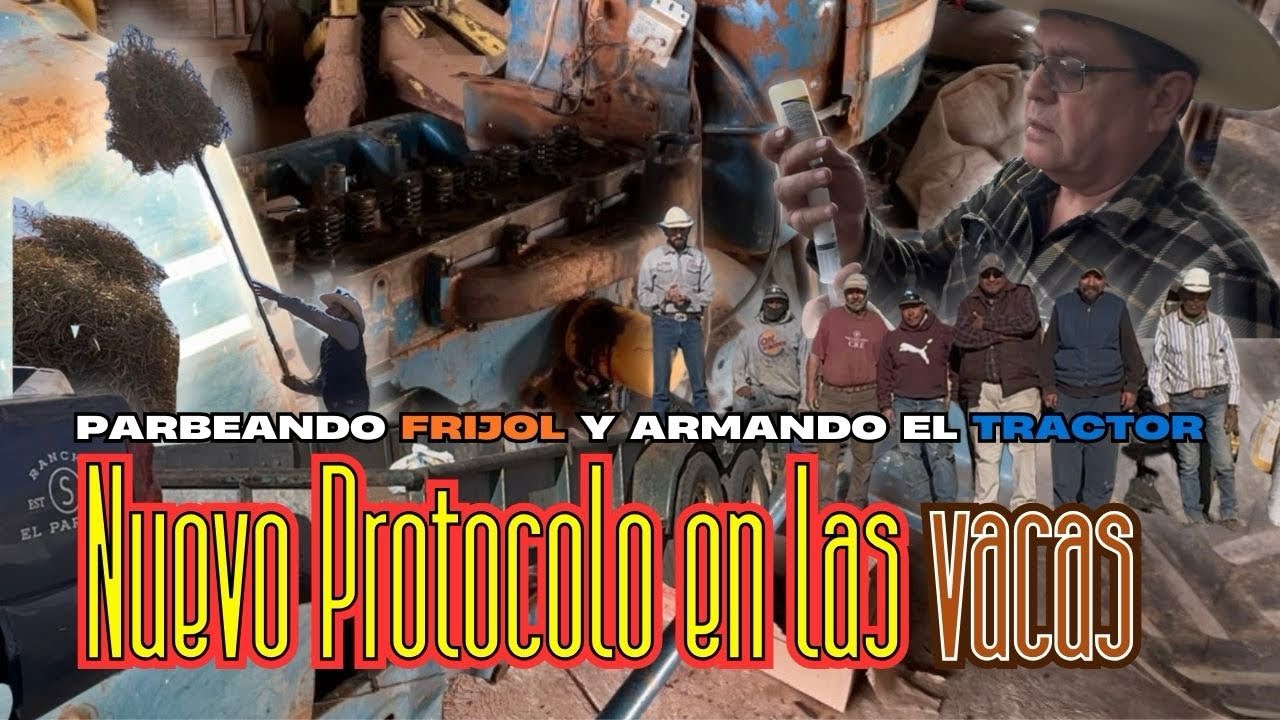 Nuevo Protocolo en las vacas | Ensamblando el tractor 🚜 | Terminando de Parbear Frijol 🫘 