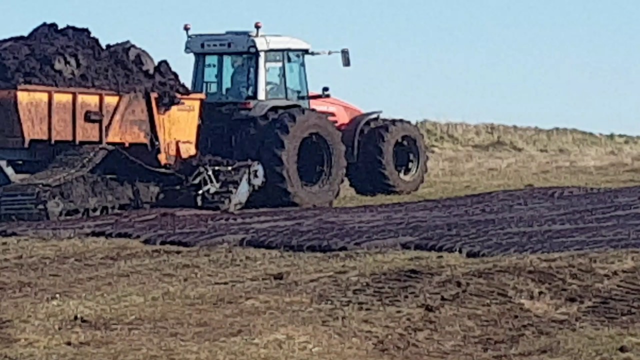 Hopper turf