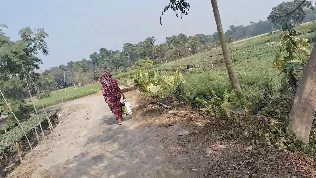 Amder jomoi gurte alam