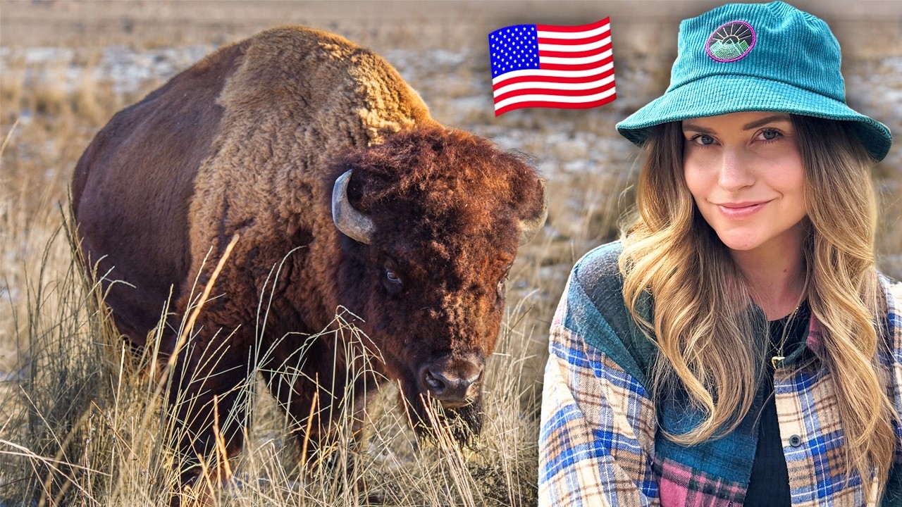 Buffalo on the Great Salt Lake! Salt Lake City - We Explore the Mormon City | USA VLOG 2024