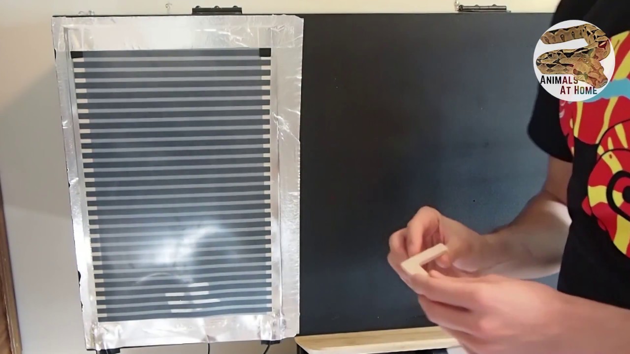 How to Setup a Thermostat Probe for Snakes