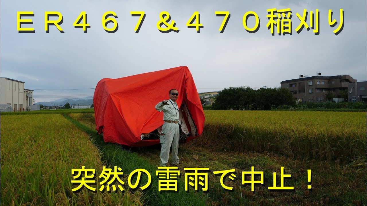 稲刈り２台体制も雷雨に勝てず・ハナエチゼン稲刈り断念・2019