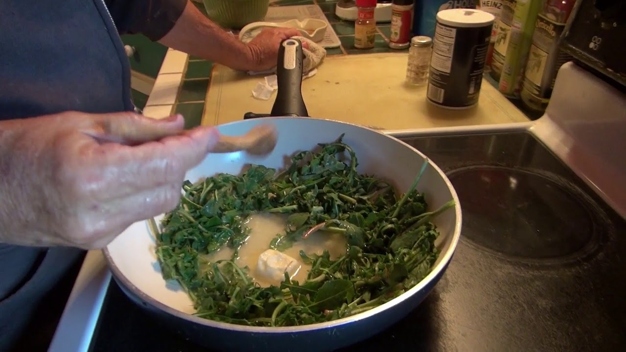 Cooking Dandelion Greens
