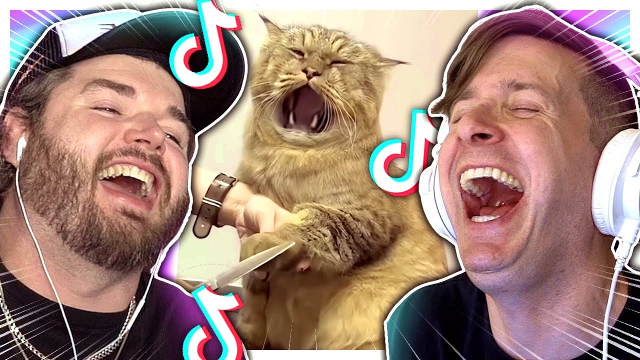 Reacting to hilarious TikToks before they ban it!