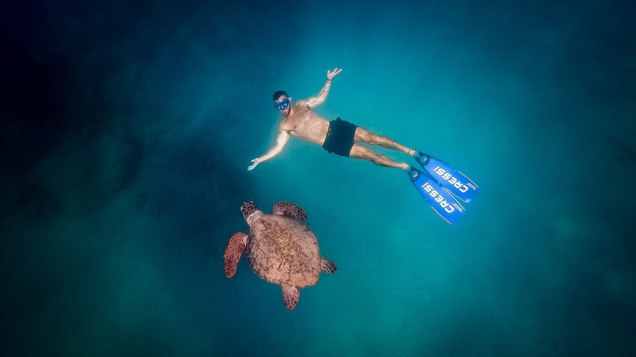 Zante 2021 The Full Experience