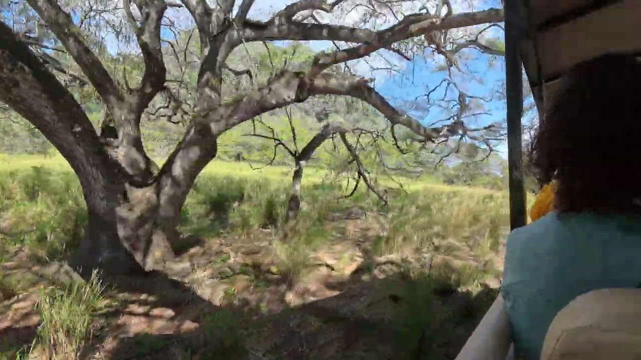 Koalua ranch