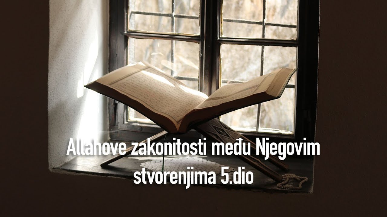 5.dio Allahove zakonitosti o čišćenju vjernika kroz iskušenja - hafiz Ahmed-ef. Bukvić