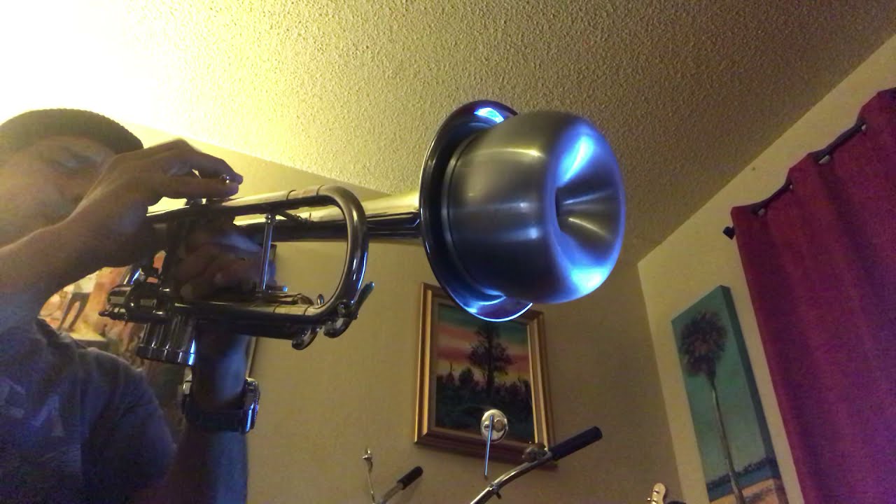 Jazz trumpet with mute.