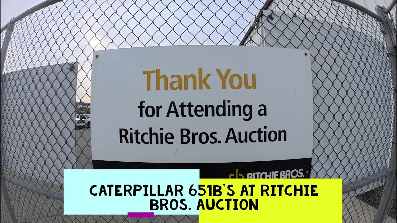 Рассматриваем скребки для кошек на аукционе Ritchie Bros.