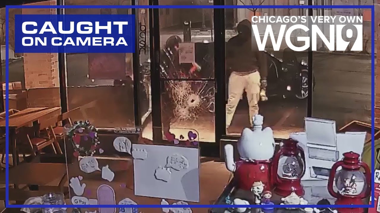 Surveillance video captures North Side burglary