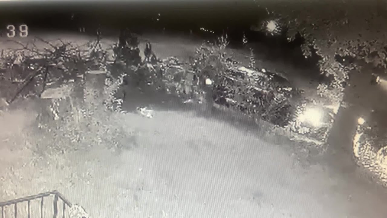 Carjacking caught on camera