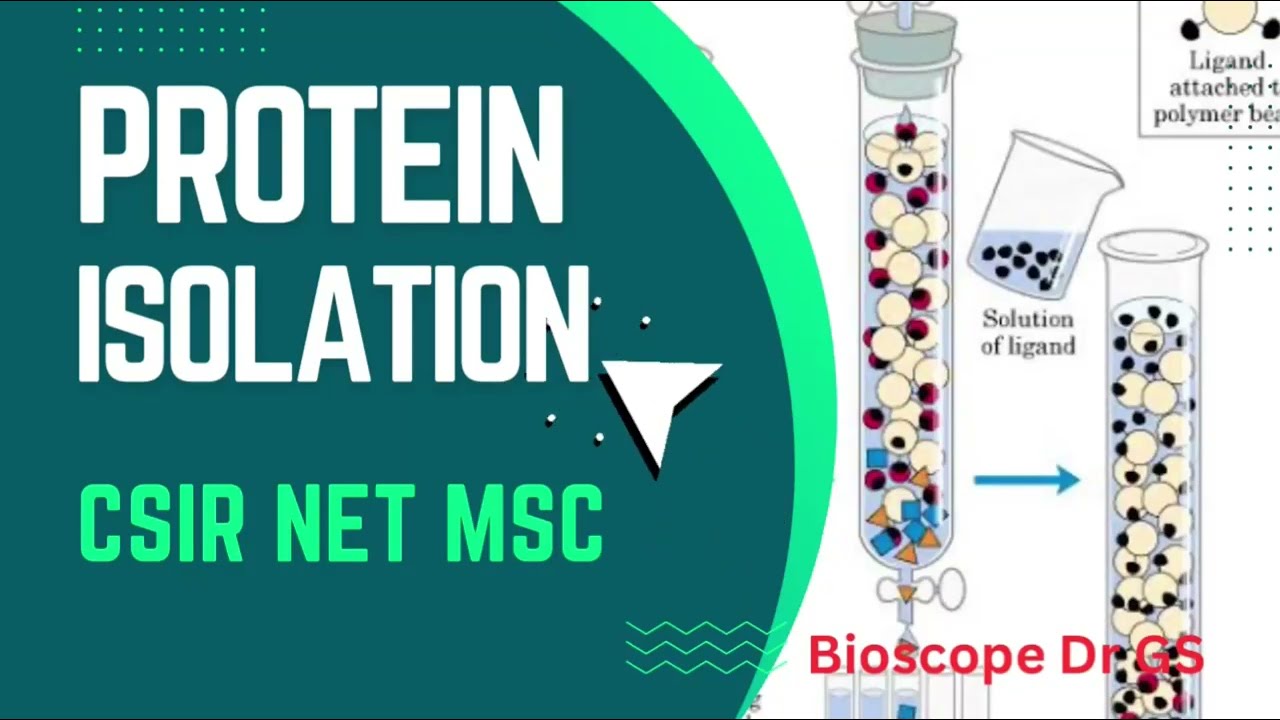 Protein Isolation Technique | Methods of Protein Purification Explained | CSIR NET