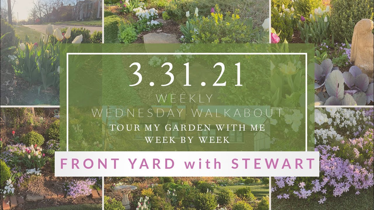 Weekly Wednesday Walkabout 〰️ Linda Vater // 3.31.2021
