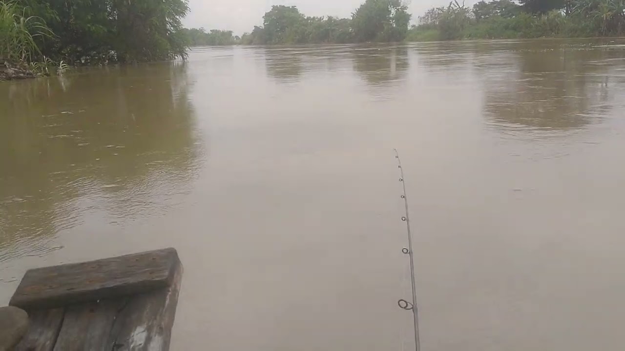Mancing di muara / kali jongjing kecamatan Tirtayasa Serang Banten 