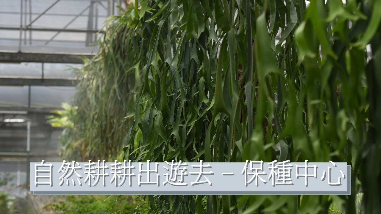 【自然耕耕】開箱全台最大的種源庫－辜嚴倬雲保種中心