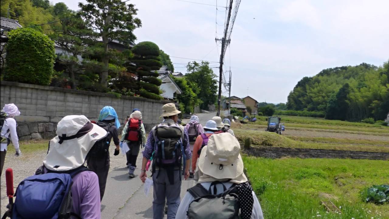 南山城「大野山」