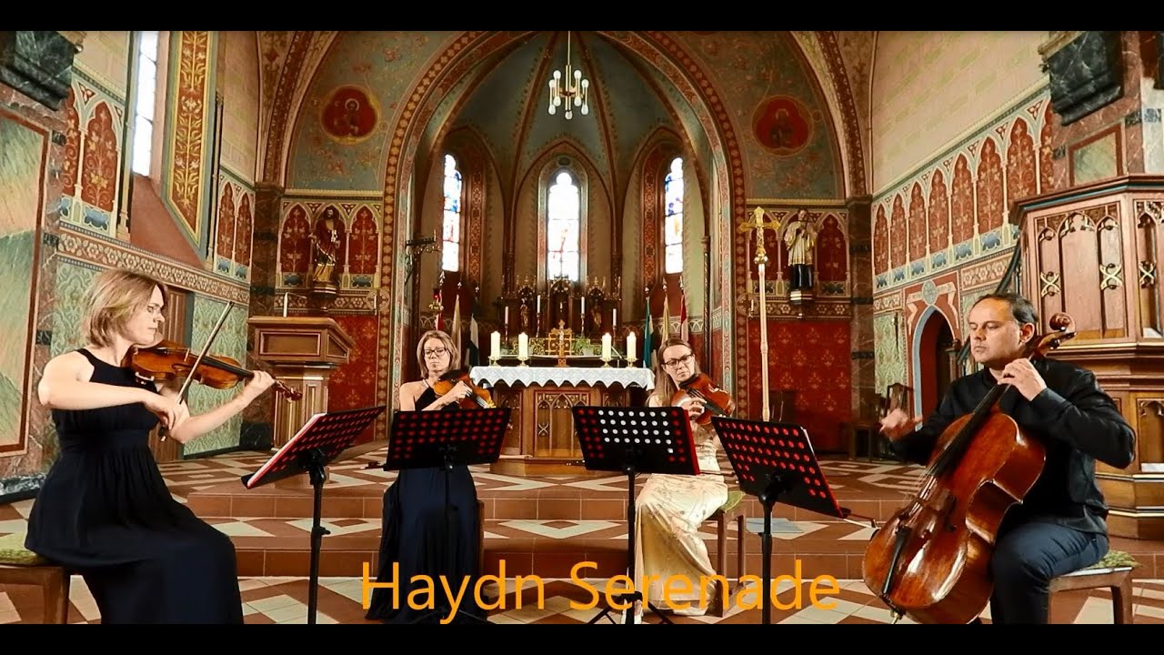 Dialog Quartett Haydn Serenade