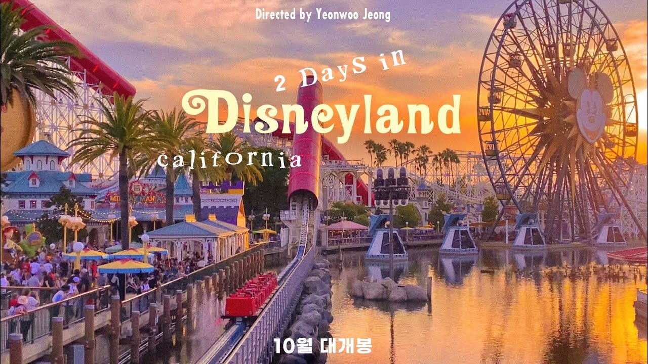 LA 디즈니랜드 브이로그 🎠 ༘⋆ 불꽃놀이를 맨 앞에서 볼줄야 .. 눈물나게 행복했던 2일간의 기록 | LA 여행 브이로그 🇺🇸