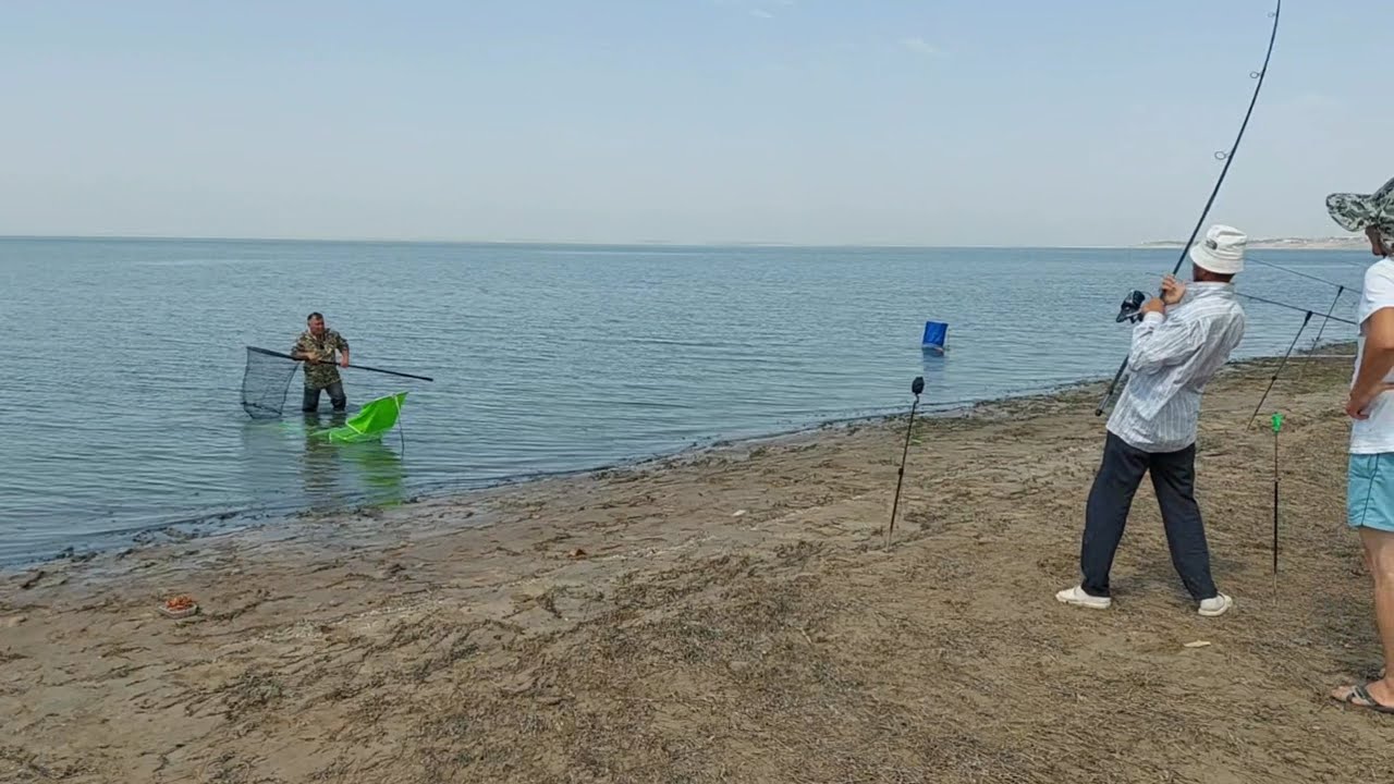 Шардара Старый Локатор, НОВЫЙ САЗАН АУЛАУ 🐟🐟🐟🐟🐟🐟