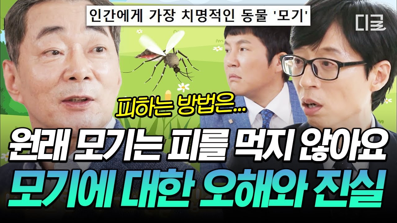 [#유퀴즈온더블럭] 모기의 최애 혈액형이 따로 있다?!💥 '여름의 적' 모기를 피하는 방법 👀