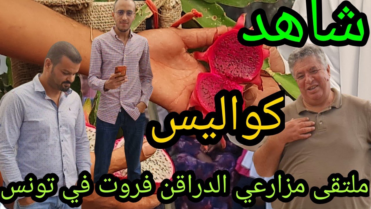 @efttunisia كواليس ملتقى مزارعي الدراقن فروت في تونس