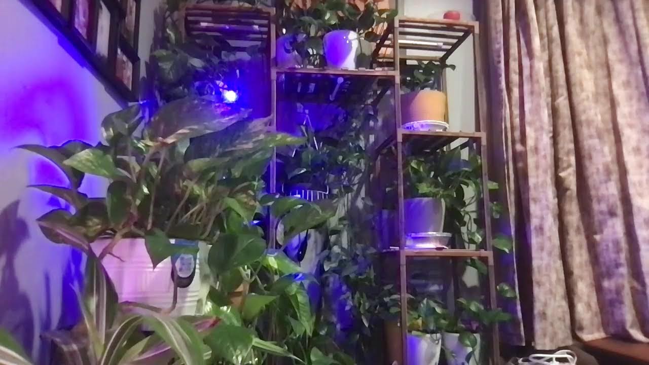 night time