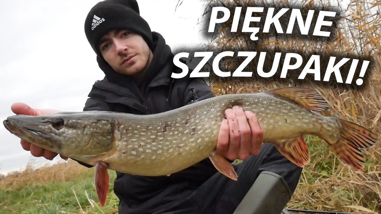 PIĘKNE SZCZUPAKI Z NOWEGO ŁOWISKA! + KONKURS! ŁOWISKO SZCZUPAKOWO!