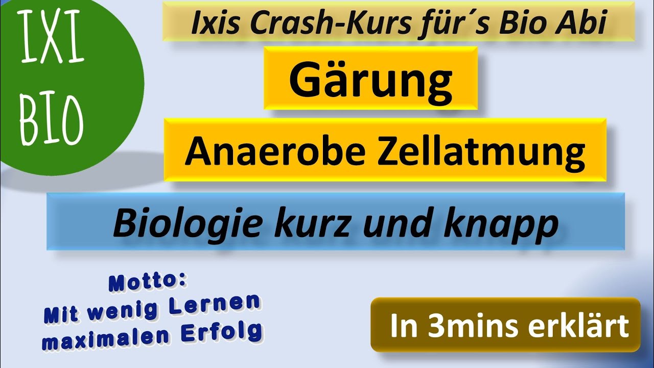G&auml;rung in 3mins erkl&auml;rt - Biologie kurz und knapp - anaerobe Zellatmung Vorbereitung Biologie Abitur