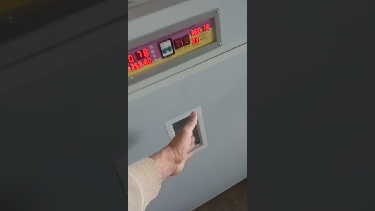 inkubatorda baş veren esas problemlər.diqqətlə izləyin videonu.tam aydın şəkildə izah edirem