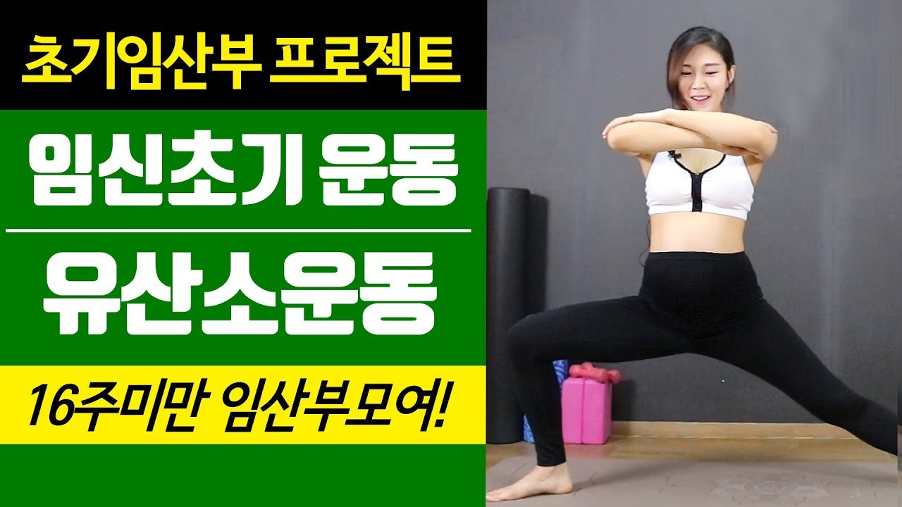 [초기임산부 운동] 12-35주 임신초기에도 무리없는 유산소운동!